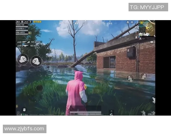 热议和平精英BLG耐力变革对游戏竞技环境的深远影响与未来发展趋势